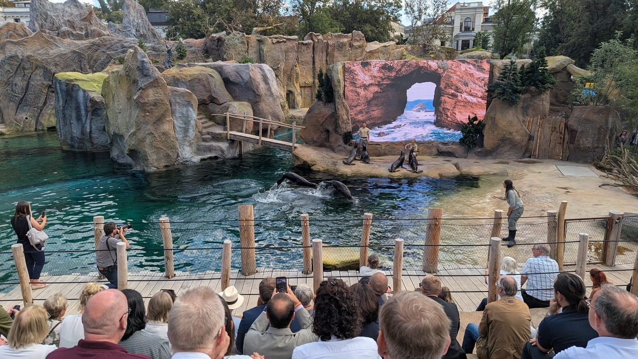 Drei Tierpflegende bei der Fütterung der Seelöwen im Feuerland Zoo Leipzig