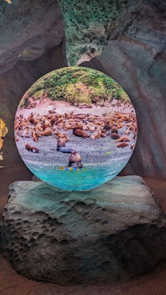 360 Grad Globus bzw. Sphäre mit informativen Videos auf LED-Flächen im Feuerland des Zoo Leipzigs
