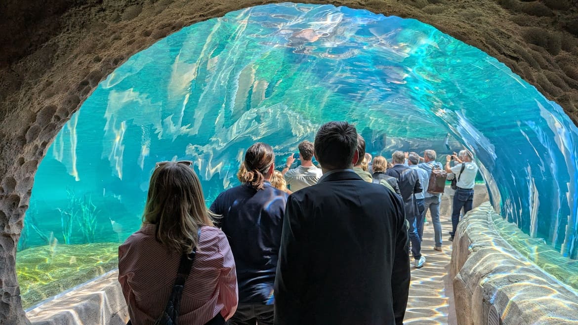 Wassertunnel im Feuerland des Zoo Leipzigs mit staunenden Besuchern
