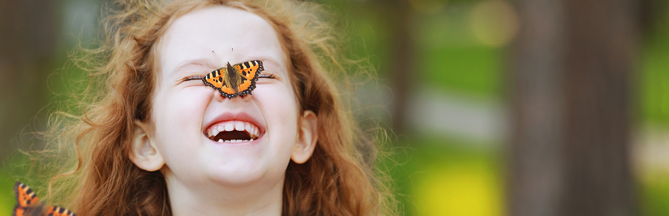 Kinderstube Sachsen - Header