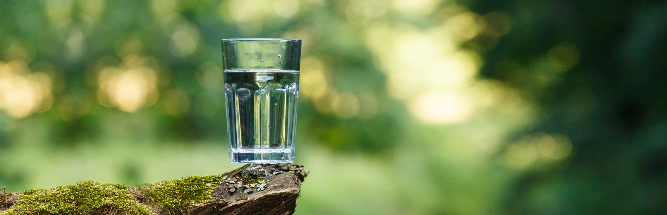 OEWA - Glas Wasser in Natur
